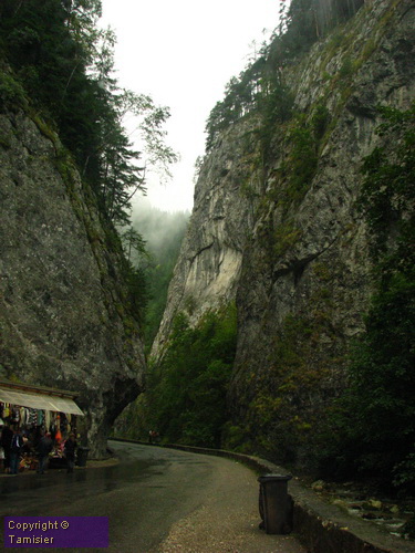 2008-08-30 17-20-42.JPG - 2008-RO>Ri Lacul Rosu-Bicaz Klamm